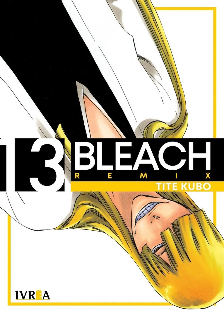Manga Bleach Remix 13