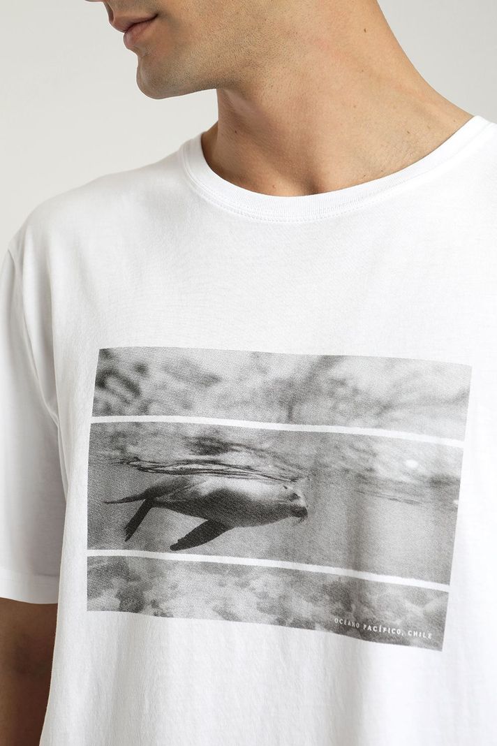 Polera manga corta hombre Foto lobo de mar blanco- -2
