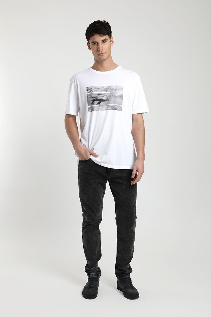 Polera manga corta hombre Foto lobo de mar blanco- -3