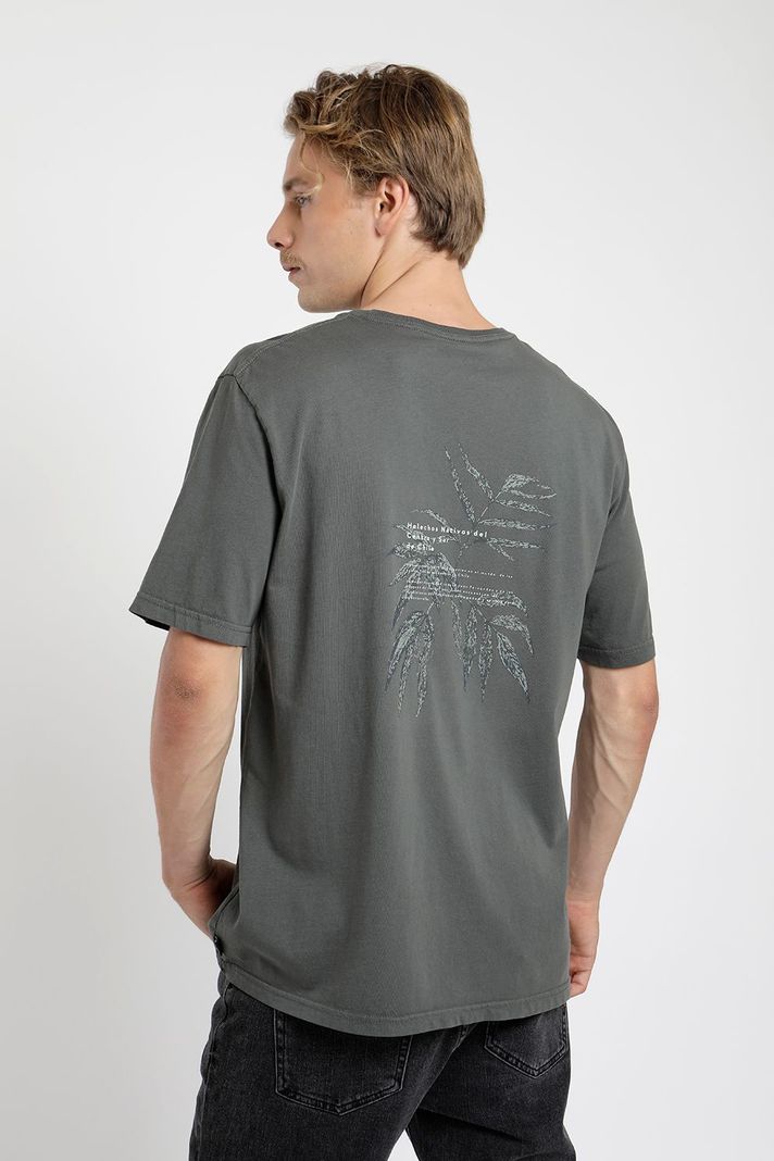 Polera manga corta hombre Helechos  -4