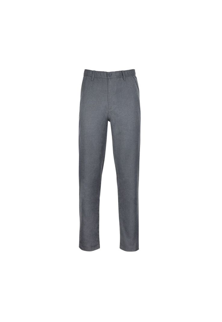 Pantalón Básico Frente Plano Gris-2