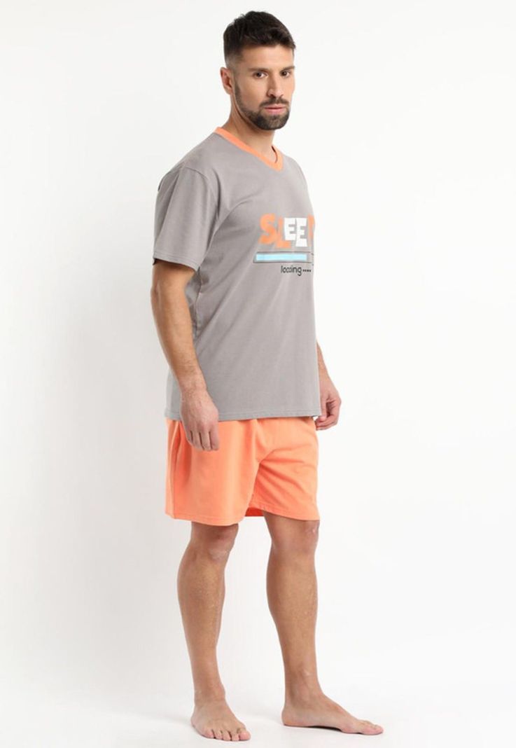Pijama Jersey Estampado Gris claro-1