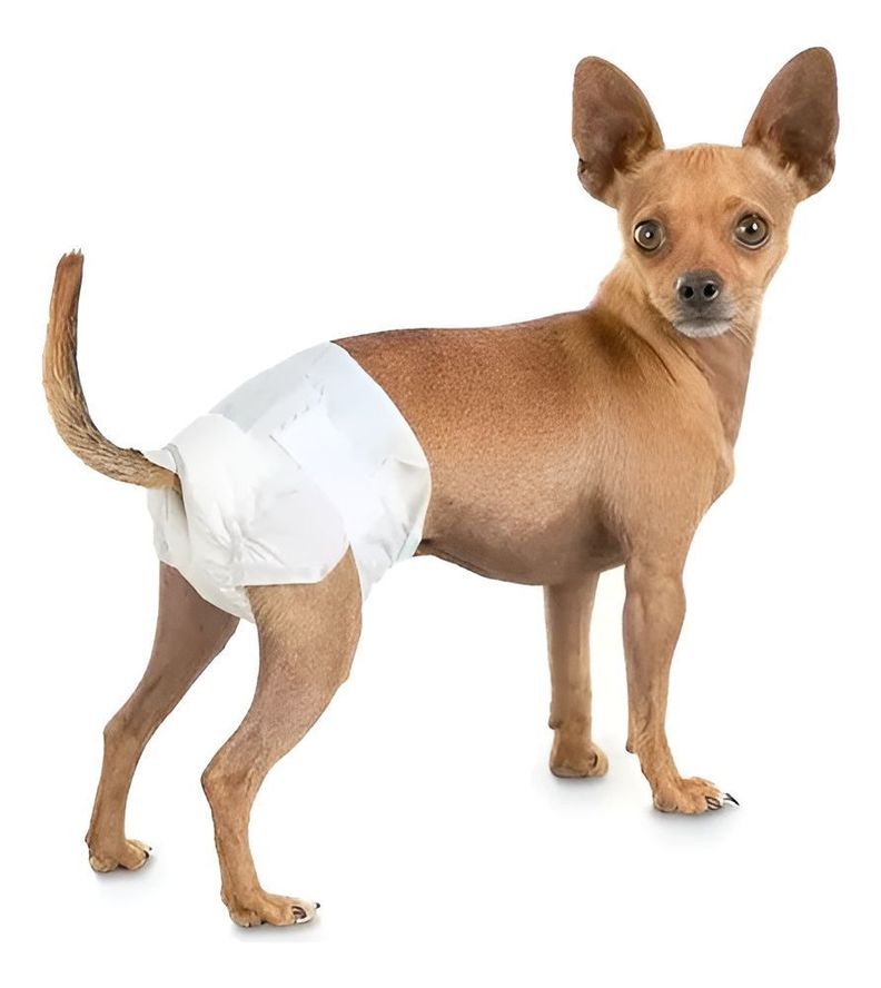 X30 Pañales Para Perros Pañales Para Perro Pañales Gato L-0