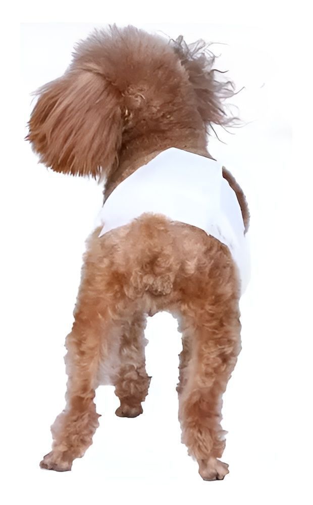 X30 Pañales Para Perros Pañales Para Perro Pañales Gato L-2