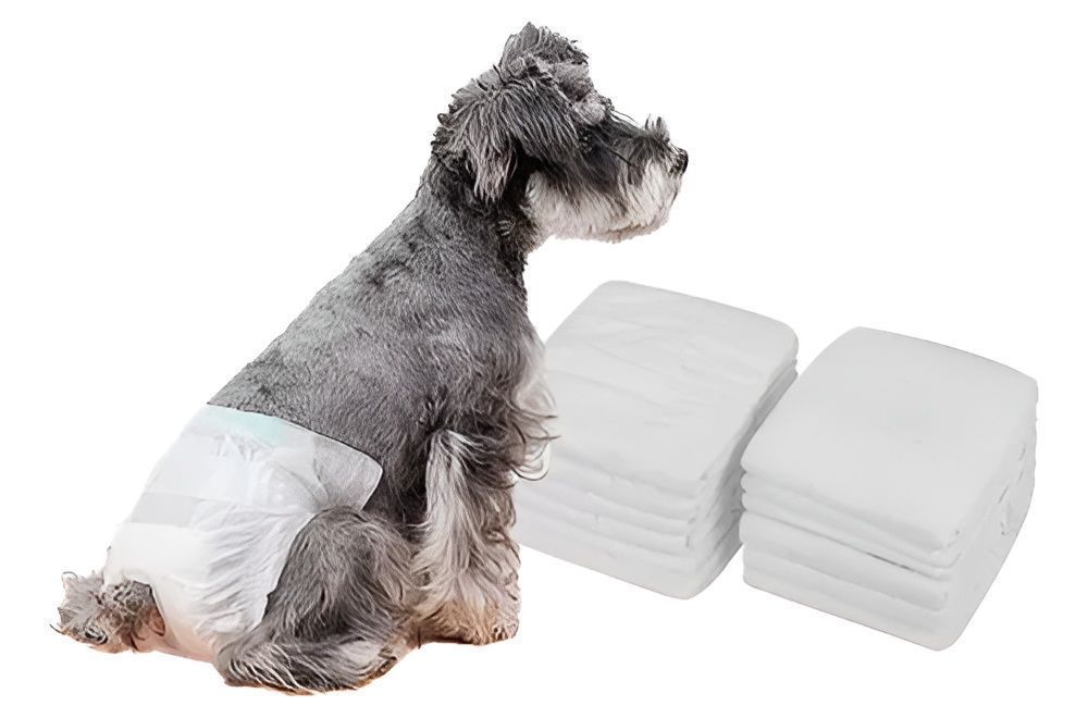 X30 Pañales Para Perros Pañales Para Perro Pañales Gato L-3