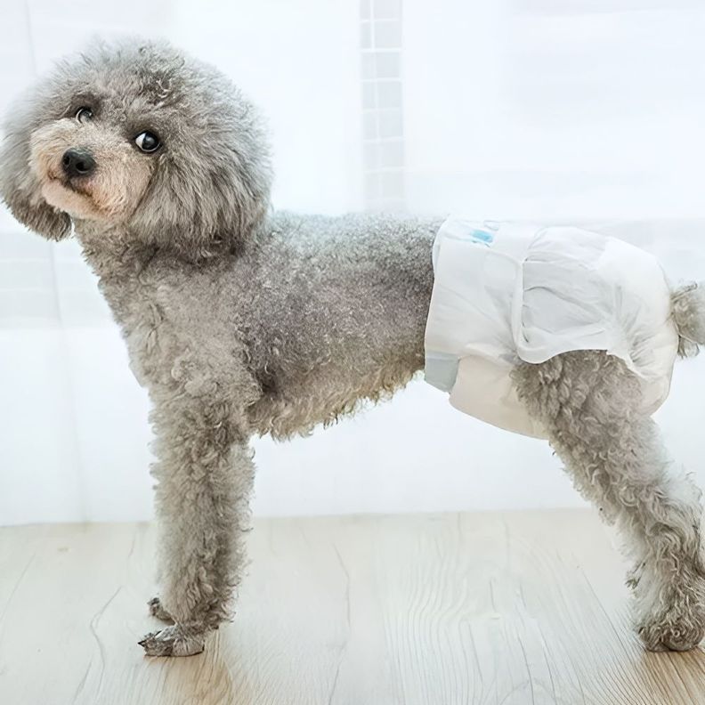 X10 Pañales Para Perros Pañales Para Perro Pañales-4