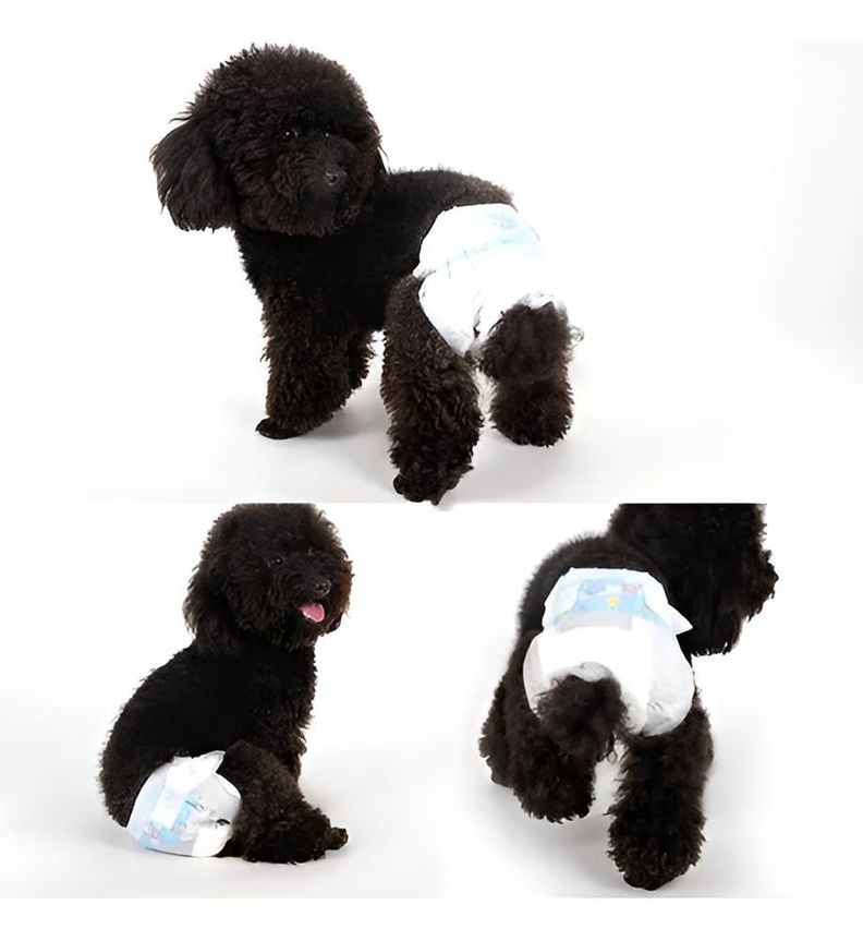 X10 Pañales Para Perros Pañales Para Perro Pañales-1