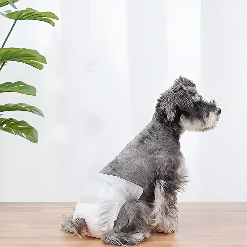X10 Pañales Para Perros Pañales Para Perro Pañales-2