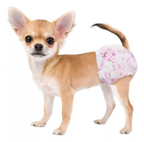 X10 Pañales Para Perros Pañales Para Gato XS-0