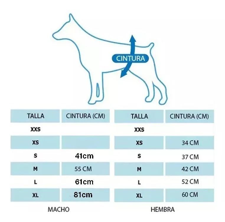 X10 Pañales Para Perros Pañales Para Gato XS-1