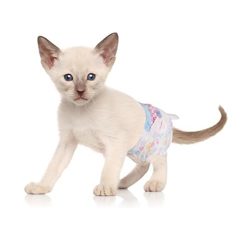 X10 Pañales Para Perros Pañales Para Gato XS-3