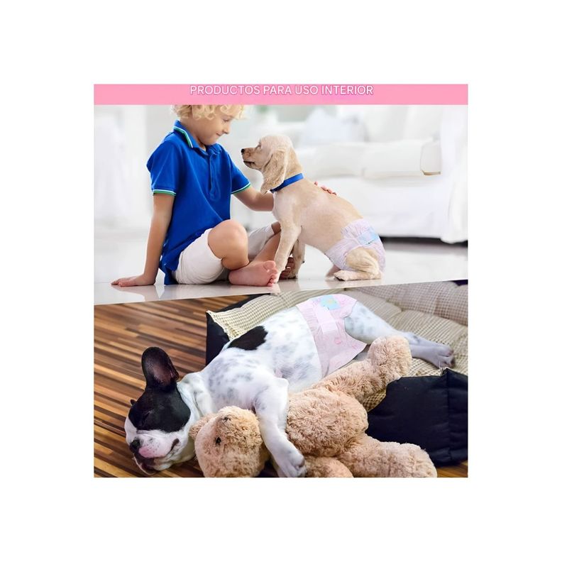X10 Pañales Para Perros Pañales Para Gato XS-5