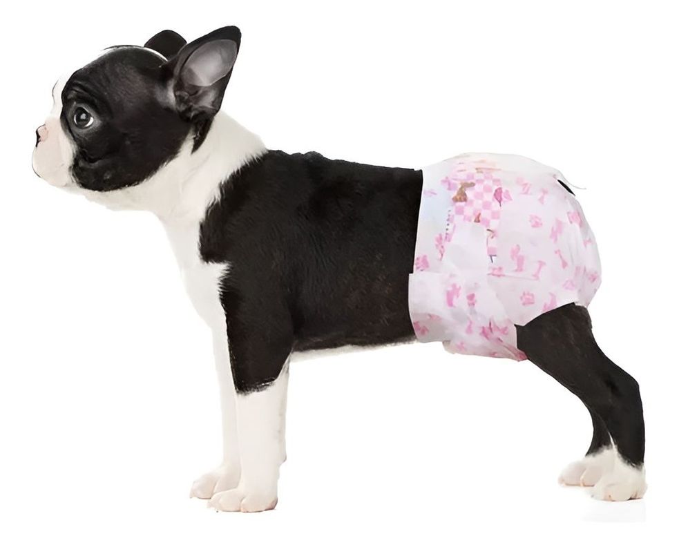 X10 Pañales Para Perros Pañales Para Gato XS-7
