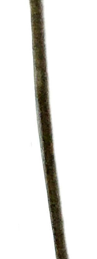 Cadena plata de 925-1