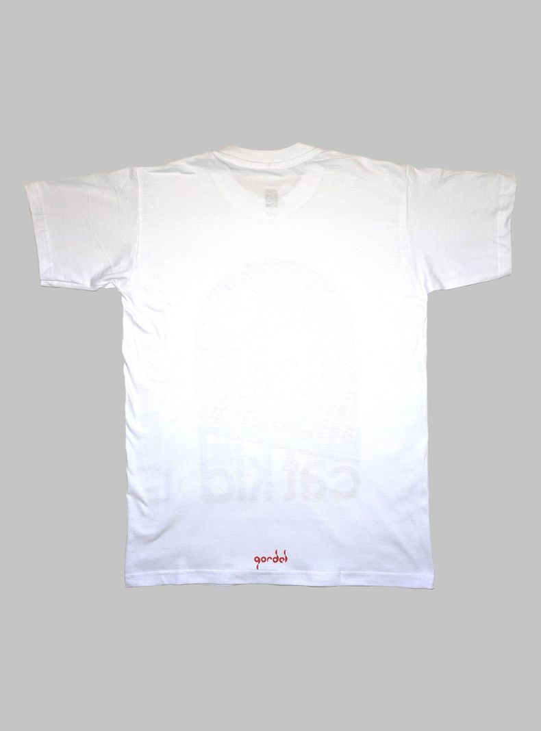 Polera niño manga corta 100% algodón orgánico con diseños originales. Cat kid-1