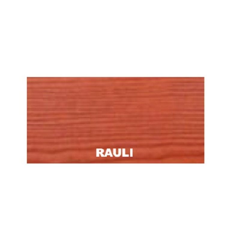 Barniz Acrilico Hidrorepelente  Rauli -1