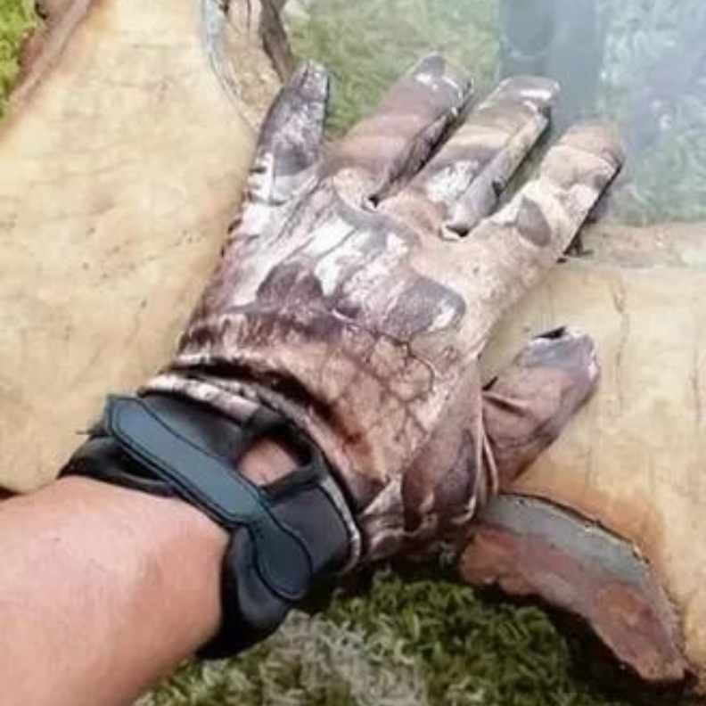 Guantes Pesca-Caza-Bosques-Tacticos-Ramas -3
