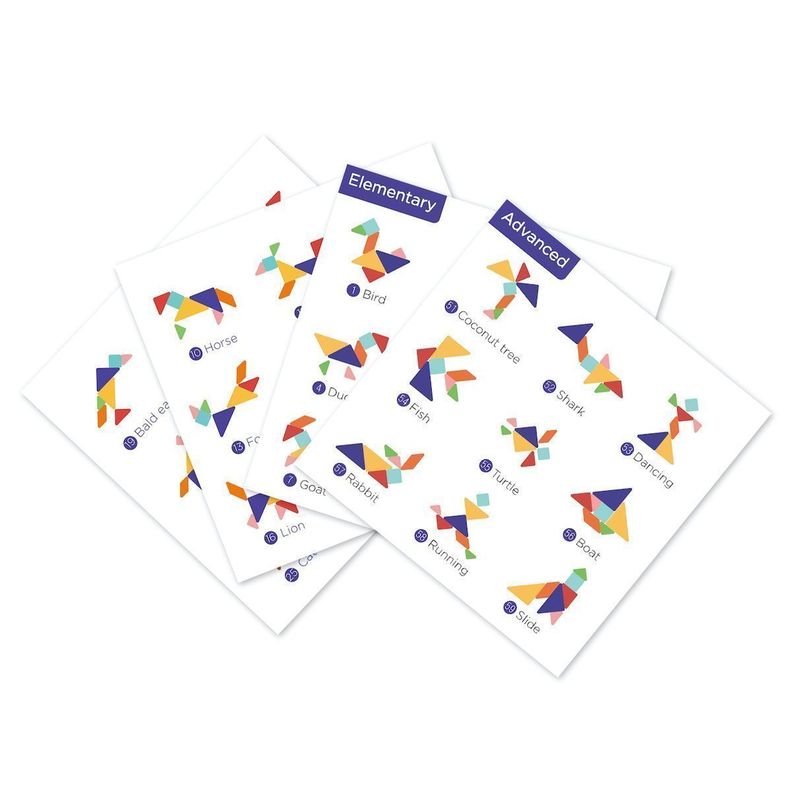 Tangram Magnetico Kit Competicion-1