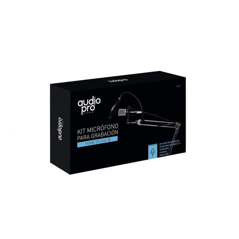 Kit Micrófono Para Grabación Con Atril + Anti Pop-2