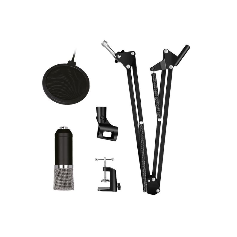 Kit Micrófono Para Grabación Con Atril + Anti Pop-1