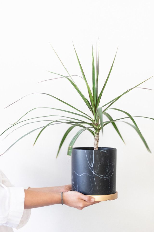 Macetero Nordico Negro S (Macetero de Ceramica)-1