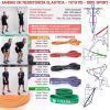 Banda De Resistencia Elastica Crossfit Calistenia 100% Latex -32MM-3