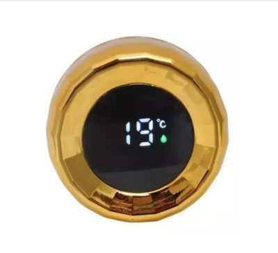 Termo Inteligente 1000ml-1