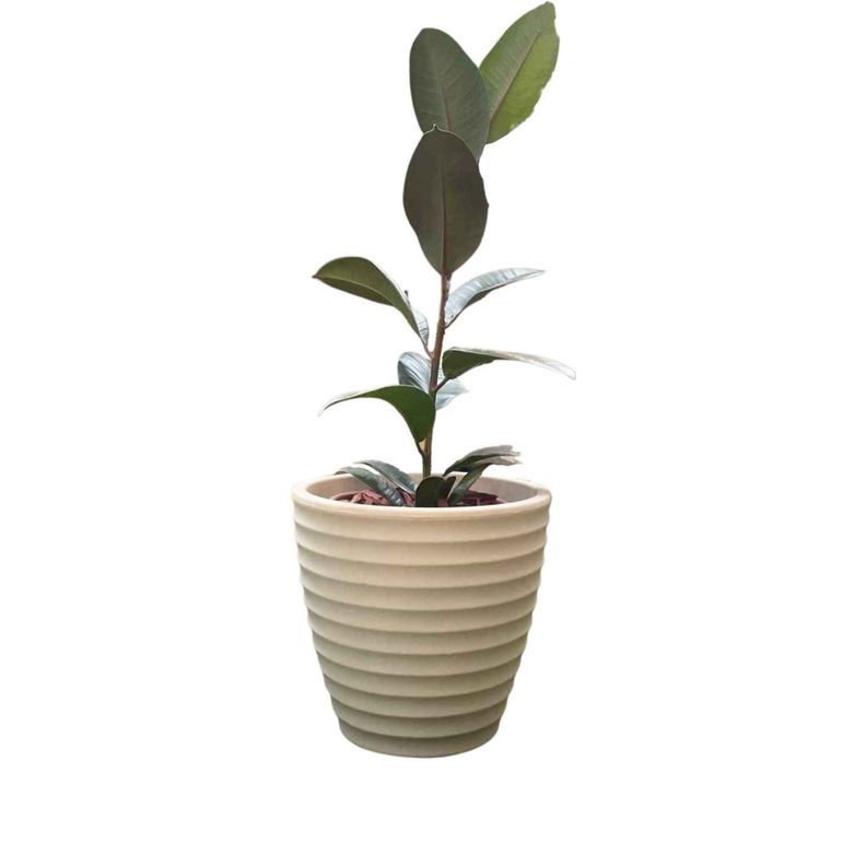 Macetero Rotomoldeado Bee27 Crema (27cmx33cm)-1
