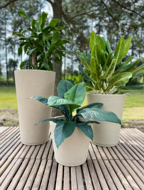 MACETERO FLORIDIS GENEBRA BEIGE 80CM CON PLATO-4
