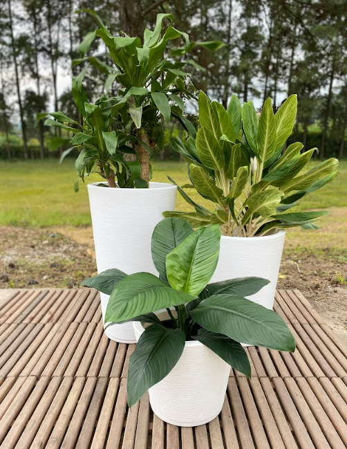 MACETERO FLORIDIS GENEBRA BLANCO 57CM CON PLATO-3