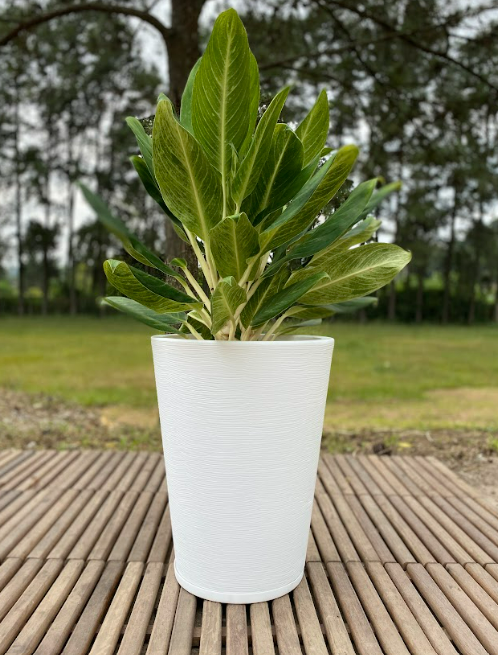 MACETERO FLORIDIS GENEBRA BLANCO 57CM CON PLATO-2