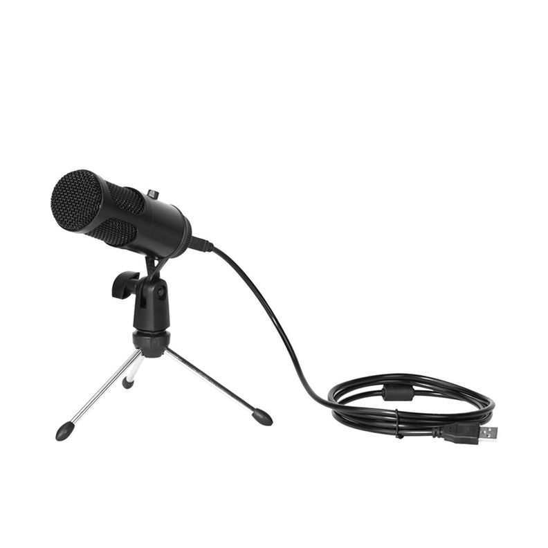 Micrófono Condensador Profesional Con Tripode Audiopro-2