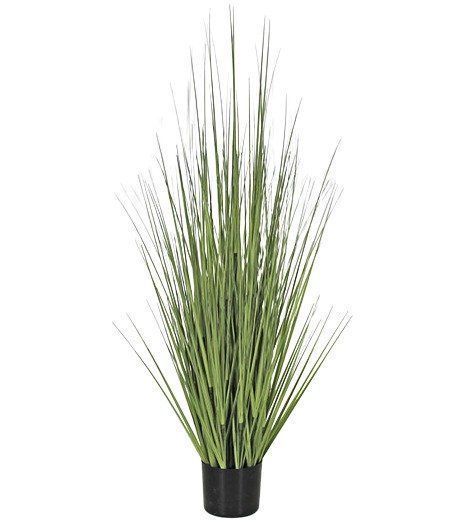 PLANTA DECORATIVA COREL PASTO CEBOLLA VERDE 53CM-0