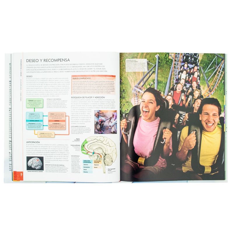 DK ENCICLOPEDIA CEREBRO HUMANO-1
