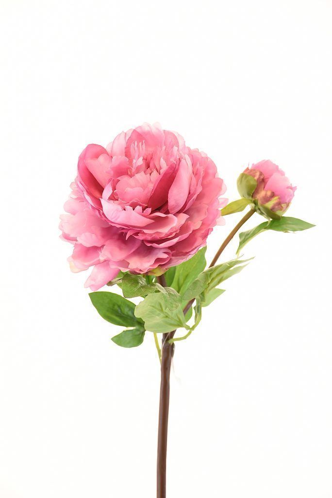 FLOR DECORATIVA COREL PEONIA CON BOTON ROSA OSCURO 54CM-0