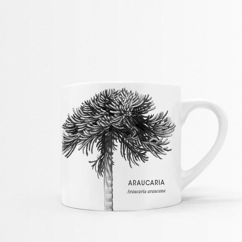 Set 4 Tazas Hojas-2