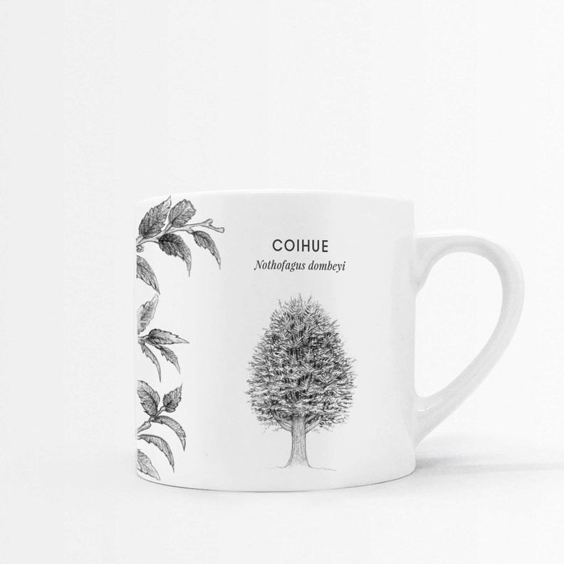 Set 4 Tazas Hojas-3