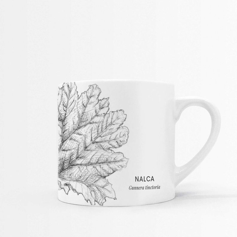 Set 4 Tazas Hojas-4