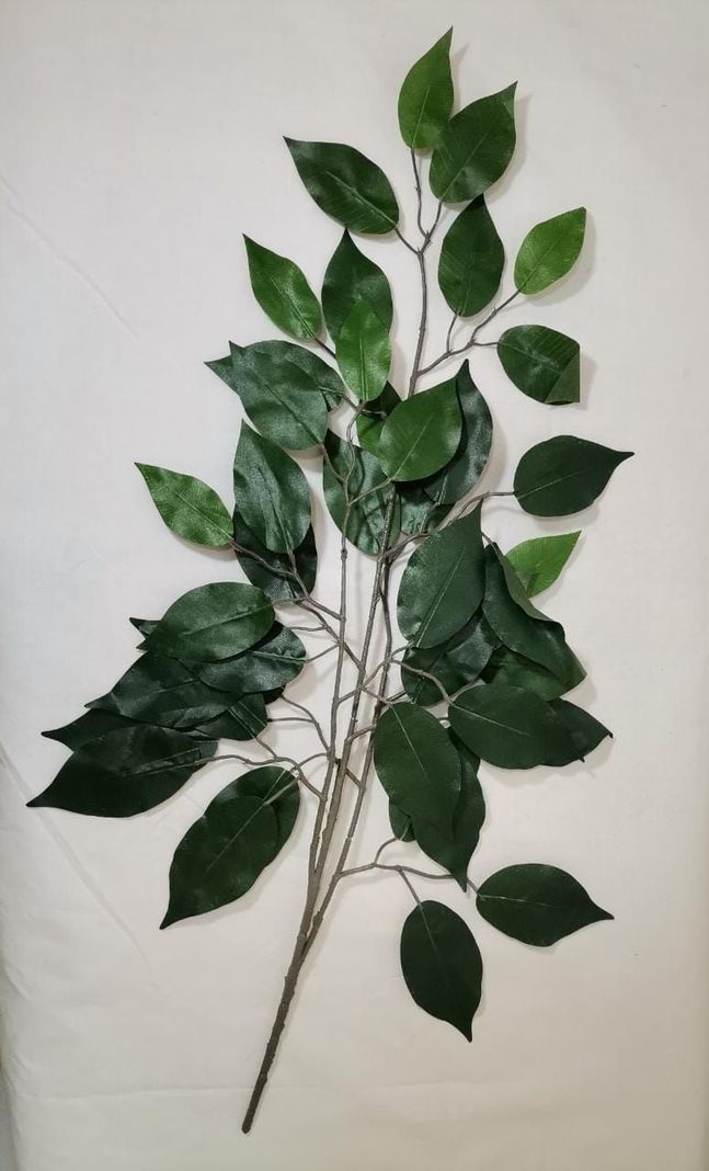 Planta Decorativa Rama Ficus 50Cm-0