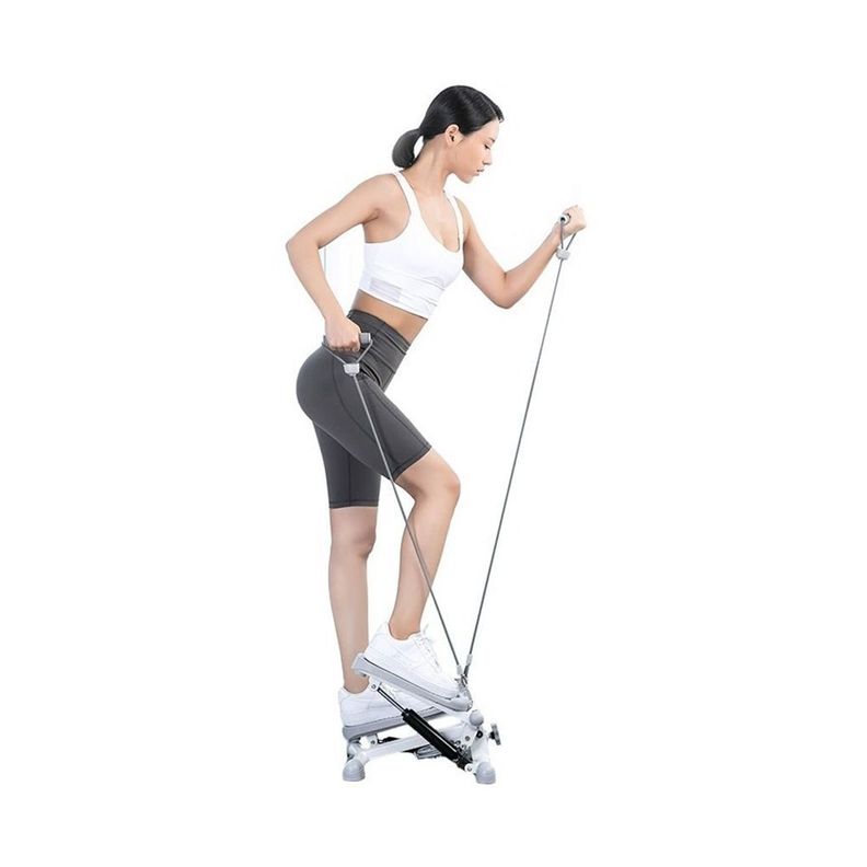 Mini Stepper DLX STP-106-2