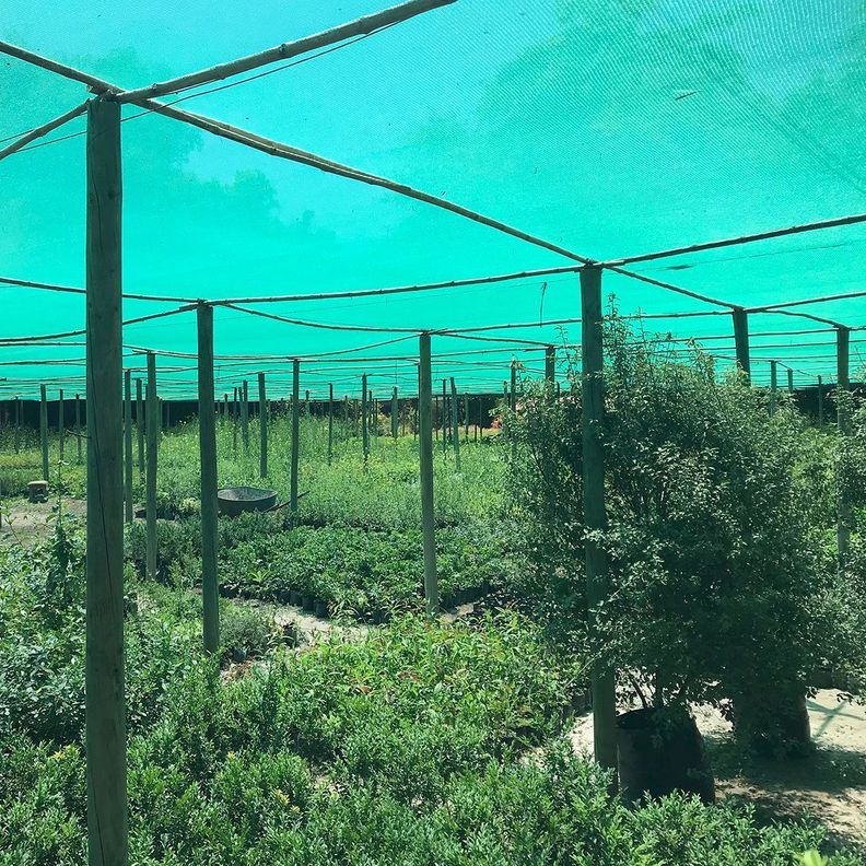 Malla Sombra Lisa 35% de 4,20 × 100 m color Verde-0