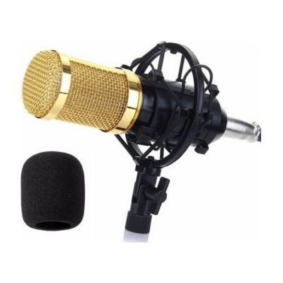Micrófono De Estudio Con Soporte -0