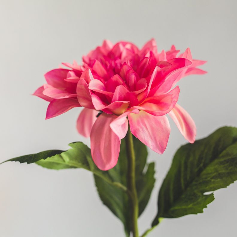 Dalia Flor Artificial by Le Bouquet 76 cm-1