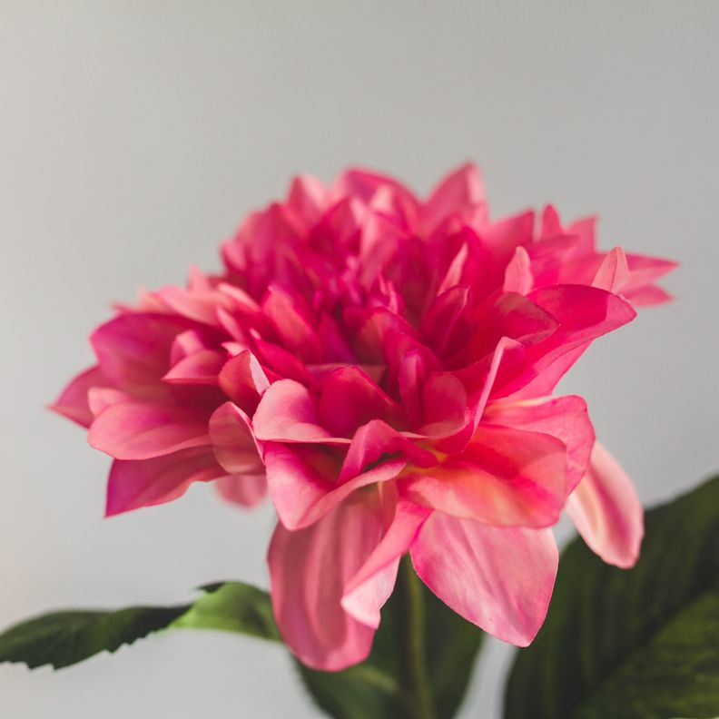 Dalia Flor Artificial by Le Bouquet 76 cm-2