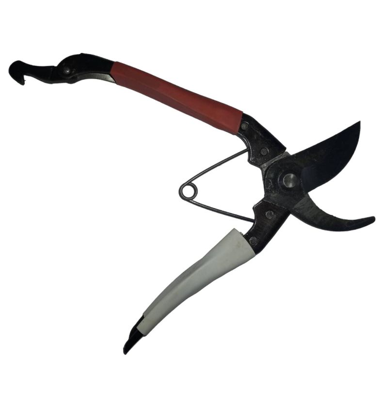 TIJERA PODAR 20 CMS -1