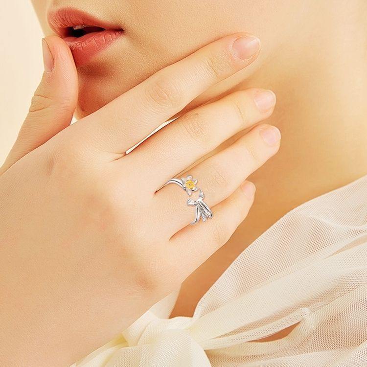Anillo Colibrí Ajustable Plata S925-3