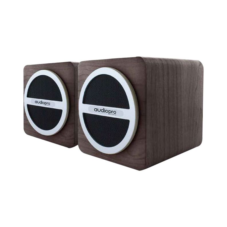 Parlante Portatil Bluetooth 15W RMS USB AUX Cafe A-0
