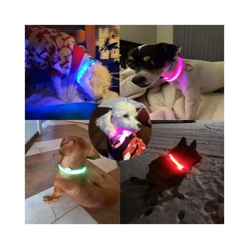 Collar Con Luz Led Carga Usb Perros Gatos S Verde-3