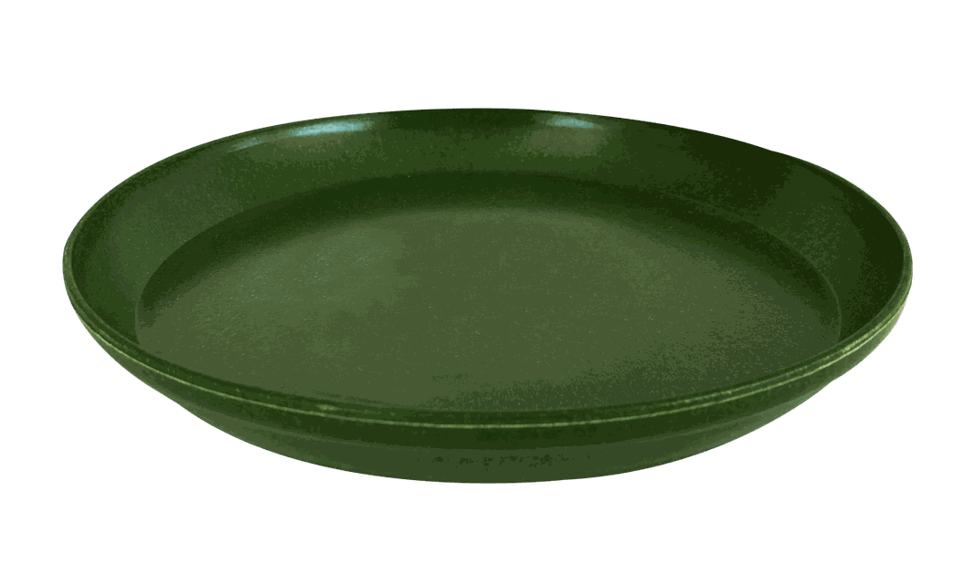 PLATO BIODEGRADABLE MUSGO ACTUAL/CLASICO-0