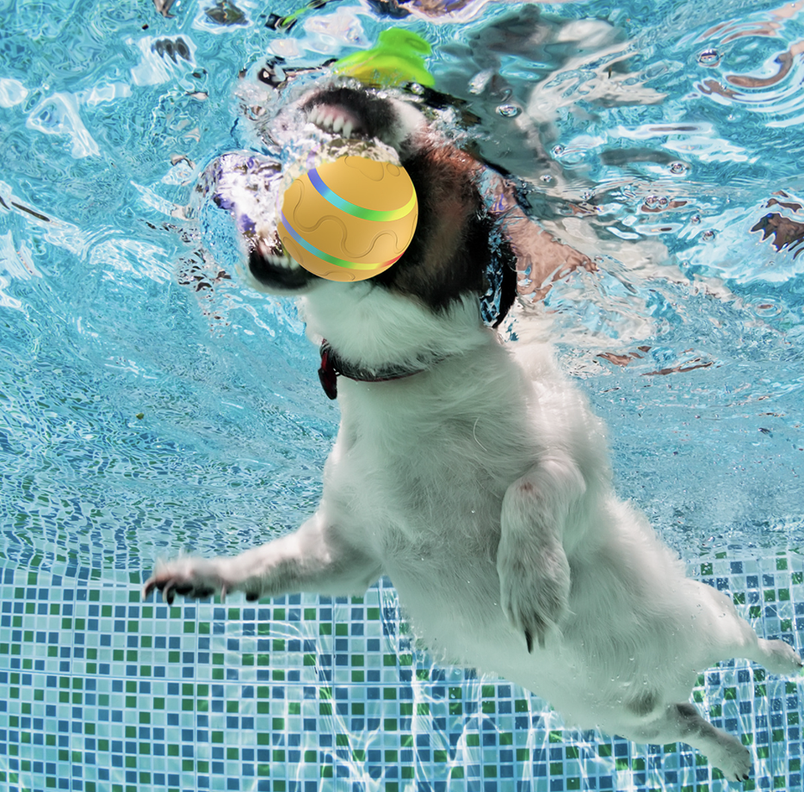 Pelota para Perros y Gatos Inteligente - Rosada-7